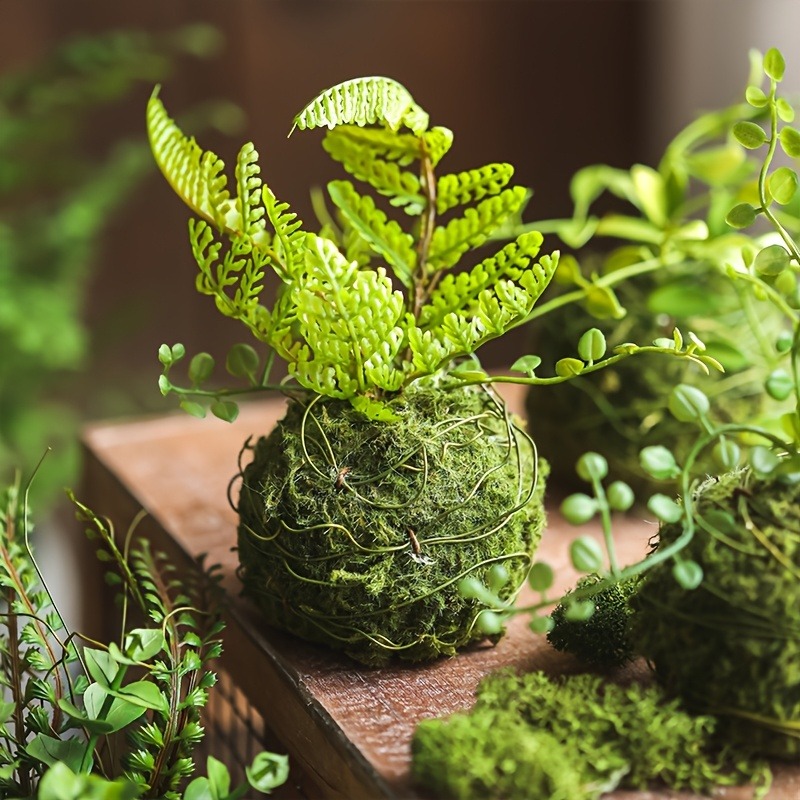Yapay Yosun Topu Saksısı, Doğa - Sphagnum Moss Dry incelemesi ve fiyatı