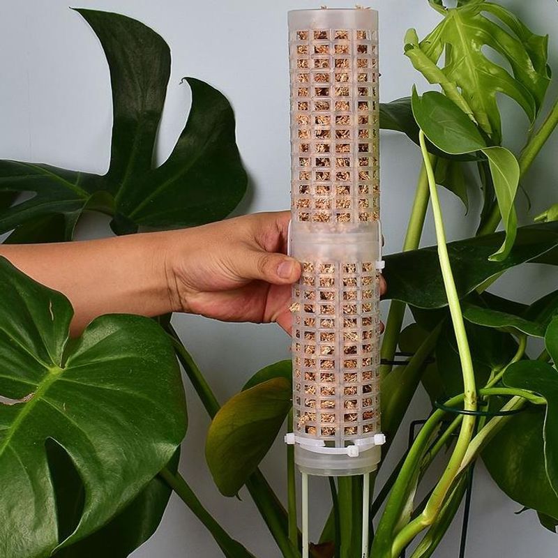 Orkide ve Monstera Tırmanma İç - Sphagnum Moss Dry incelemesi ve fiyatı